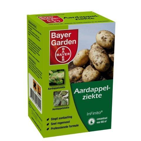 Bayer infinito